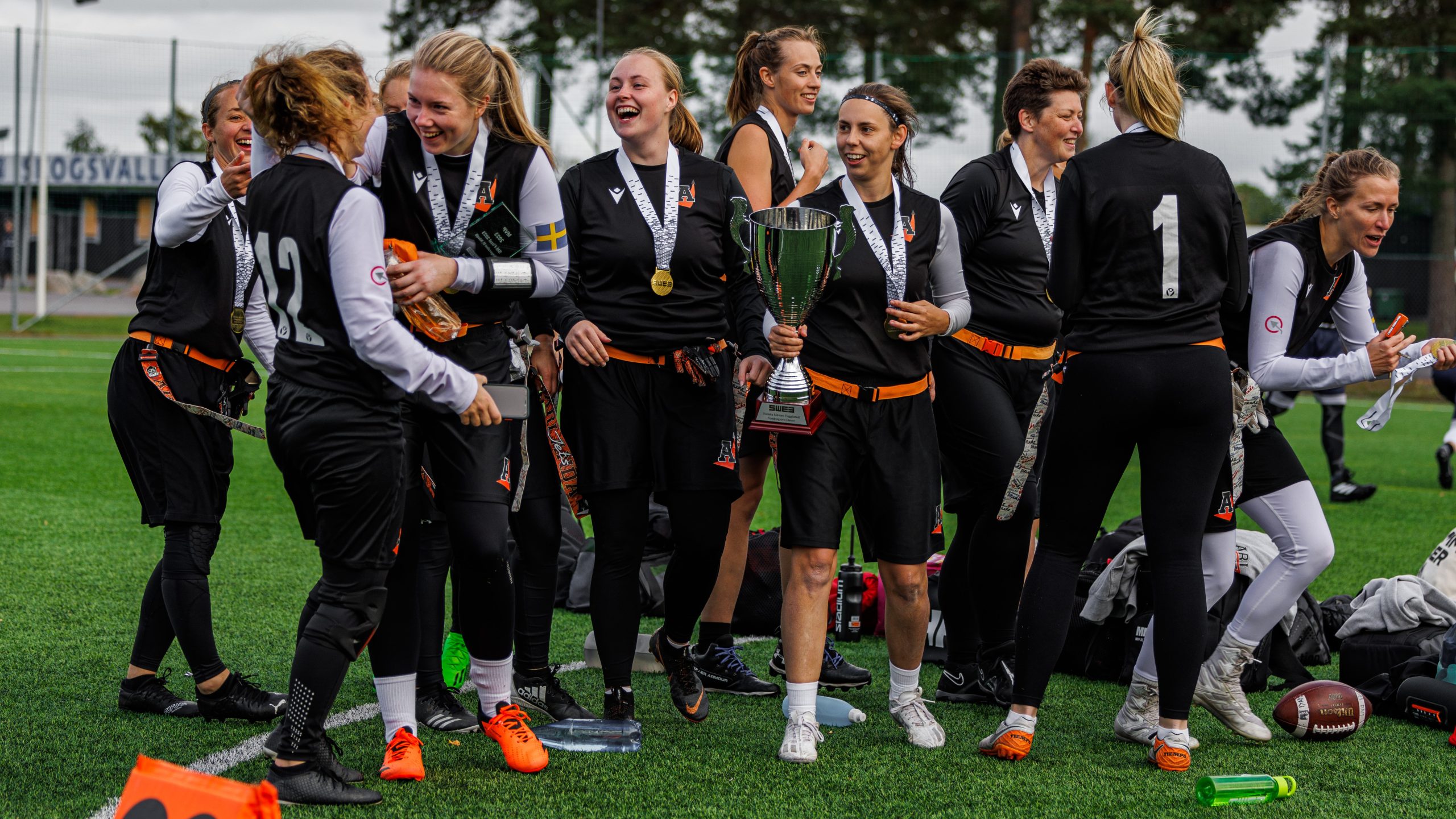 Ansökan om att arrangera SM-slutspelet 2024